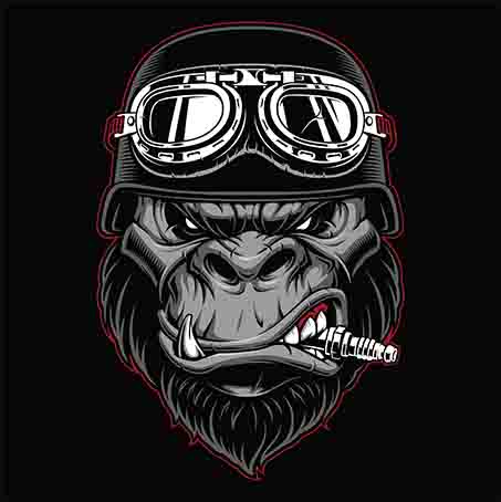 Gorilla